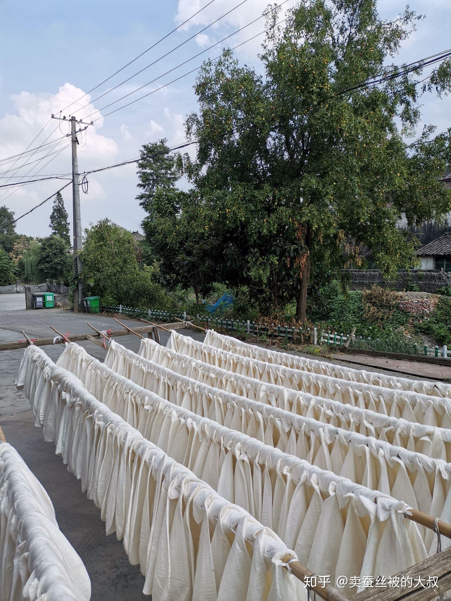 蚕丝被及其他蚕丝制品 从选料到保养，一篇读懂